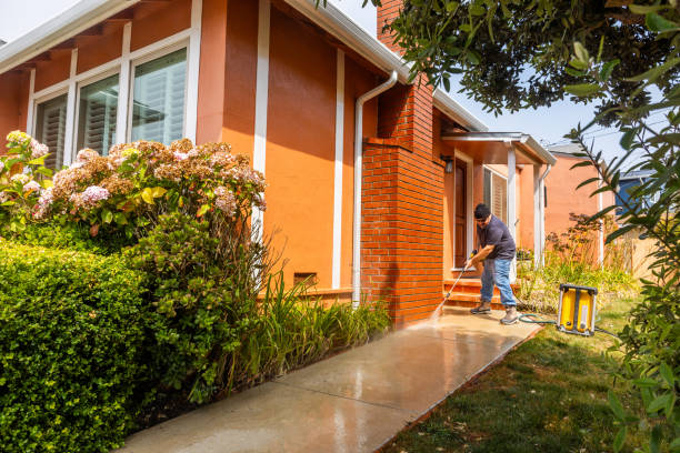 Best Affordable Pressure Washing  in East Grand Forks, MN