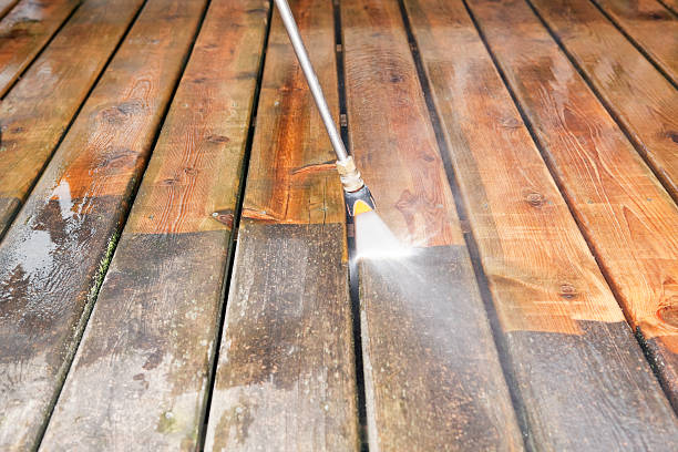 Best Roof Pressure Washing  in East Grand Forks, MN